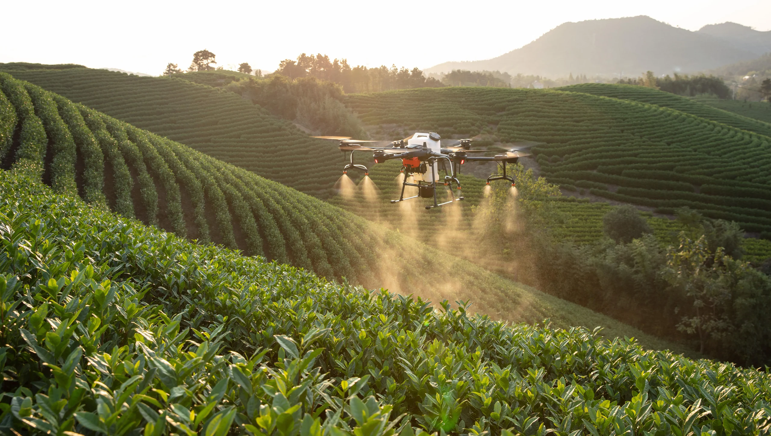 Agriculture UAV platform performing precision spraying over commercial farmland by Stroni.